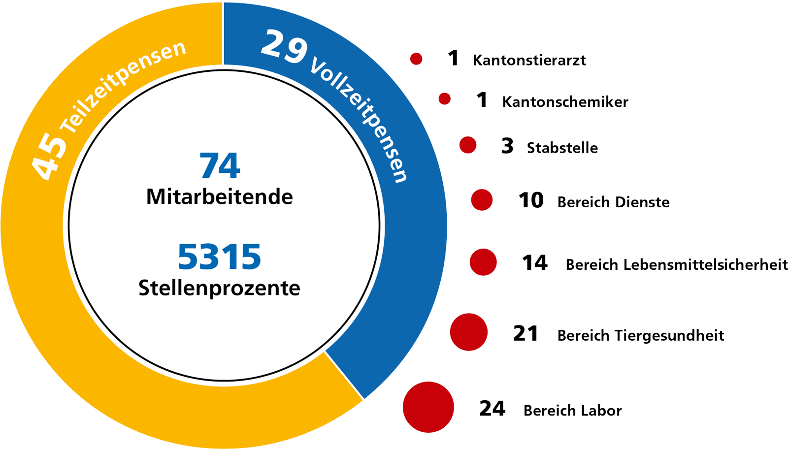 Grafik Mitarbeiter 2024